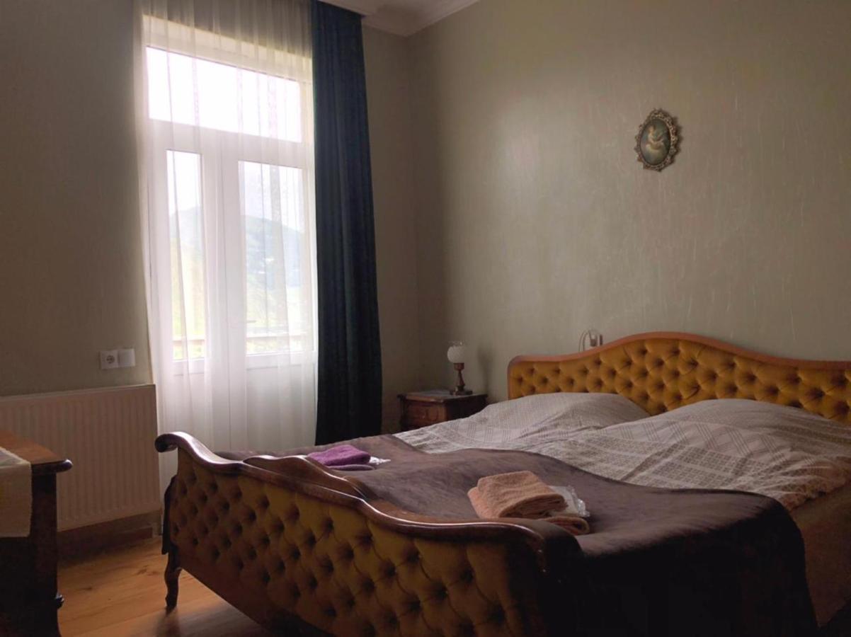 Family Hotel 7 Sisters Kazbegi Rum bild