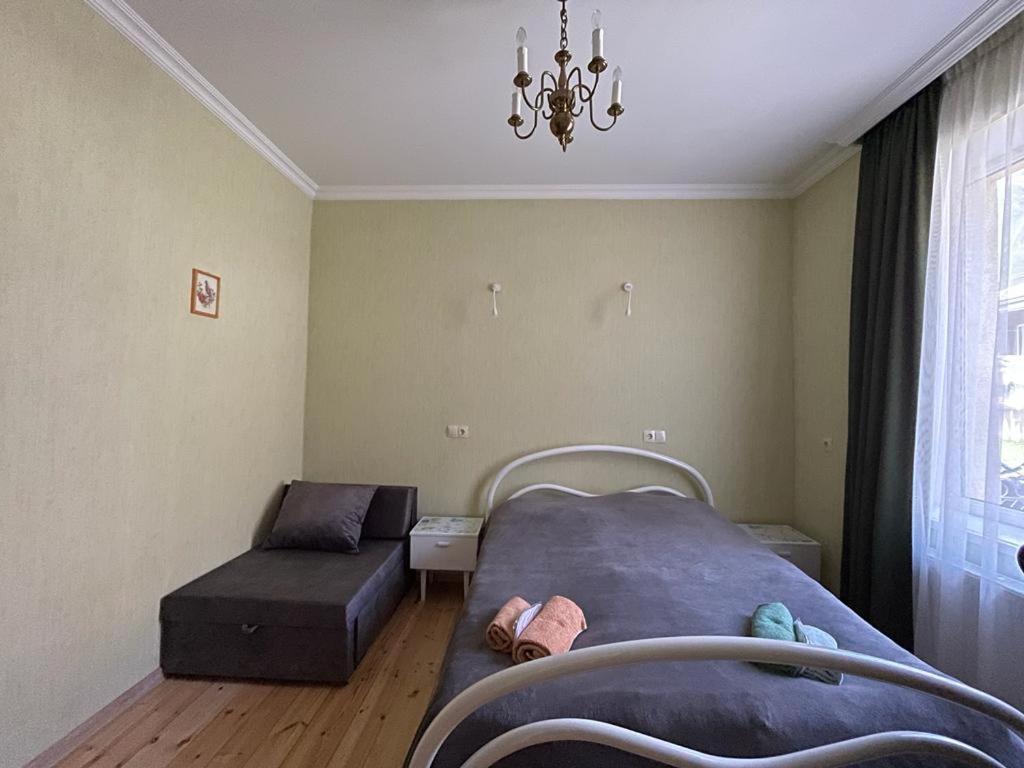 Family Hotel 7 Sisters Kazbegi Exteriör bild